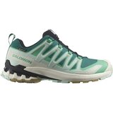 Salomon Tek & Trail Xa Pro 3d V9 Gtx pisana Cene