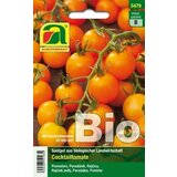 BIO paradižnik Clementine Cene