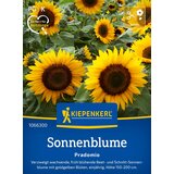 KIEPENKERL Sončnica "Pradomio" - 1 pkt. Cene