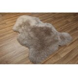  Post - camel camel carpet (75 x 105) | Eponuda.com