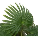vidaXL Umetna rastlina palme 9 listov 65 cm zelena | Shoptok.si