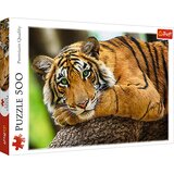 Trefl puzzle tigar, 500 kom | shoptok.hr