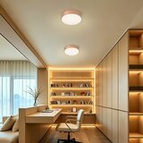 Brilagi LED prigušiva plafonska svetiljka POOL LED/24W/230V prečnik 20 cm bronzana + daljinski upravljač | Eponuda.com