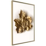  Poster - Dried Maple Leaf 30x45 Cijene