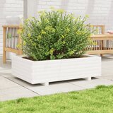  Vrtna sadilica bijela 90 x 60 x 26,5 cm od masivne borovine | Eponuda.com