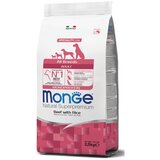 Monge dog Govedina in Riž 2,5 kg Cene