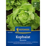 KIEPENKERL Glavnata solata Dynamite - 1 pkt. | Shoptok.si