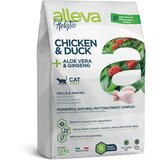 Diusapet alleva hrana za mačke holistic adult - piletina i pačetina 10kg Cene
