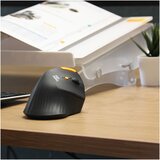  Ergonomska miška ErgoExpert X-PER 70, brezžična | Shoptok.si