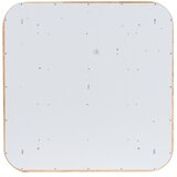 Brilagi LED prigušiva svjetiljka WOODLINE SQUARE LED/48W/230V hrast 40x40 cm + daljinski upravljač | Eponuda.com