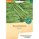  Grmičast fižol "Marona" | Shoptok.si