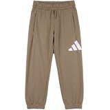 Adidas Trenirka komplet Essentials Joggers Set Kids Kostanjeva | Shoptok.si