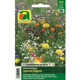 AUSTROSAAT Mešanica cvetlic "Sommer-Express" Cene