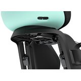 Thule Dječja sjedalica stražnja na ramu Yepp Nexxt 2 Maxi mint zelena | shoptok.hr