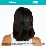 Matrix total Results High Amplify Wonder Boost | Shoptok.si