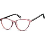 Berkeley Naočare CP127 | ePonuda.com