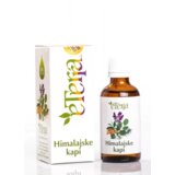 Eterra Ulje Himalajske kapi, 50ml Cene