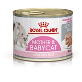 Royal Canin Mother & Babycat Ultra Soft Mousse - konzerva za mačiće i majke mačke (195g) Cene
