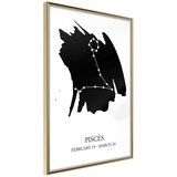  Poster - Zodiac: Pisces I 30x45 | shoptok.hr