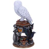 Nemesis Now HARRY POTTER HEDWIG KIPEC 22CM | Shoptok.si