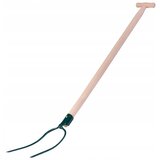 KADAX Vile za gnoj, seno, slamo, vrt, 2-zobe, kovinske, 132 cm, (5000353819) | Shoptok.si