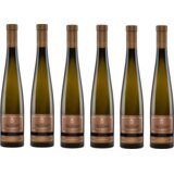 Vinarija Aleksandrović Vino Trijumf Late Harvest kasna berba, paket vina, 6 boca Cene