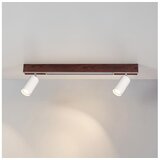 Brilagi LED spot svetlo SELE 2xGU10/30W/230V + LED/15W bela/dekor hrasta Cene