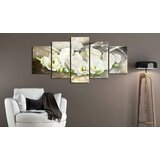  Slika - The Light of Rose 100x50 | shoptok.hr