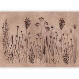  Foto tapeta - Wildflowers – black plants on lime-wash background 500x350 | shoptok.hr