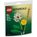 Lego Botanical Collection: Poljsko cvijeće Cijene