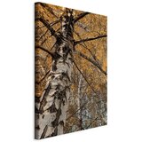  Slika - Autumn Colours (1 Part) Vertical 80x120 | shoptok.hr