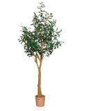 MID.YOU Umetna Rastlina Olive Ii Cene