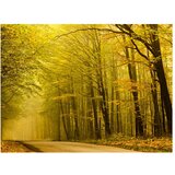  Tapeta - Road in autumn forest 300x231 | shoptok.hr