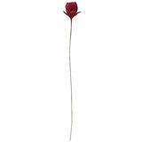 Light & Living Umetna rastlina Tulip – Cene