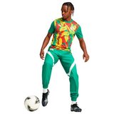  Muški Nogometni Dres Kratkih Rukava Puma Senegal Prematch Ss Zelena | shoptok.hr