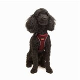 Paws & Whiskers Am za pse Air Mesh Claret Red XS | Eponuda.com