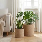  Set saksija za biljke 2 kom. Prirodna Ø 28 x 28 cm 100% Jut - Prirodna Ø 21 x 21 cm &amp Ø 28 x 28 cm Cijene