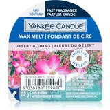Yankee Candle Desert Blooms vosak za aroma lampu 22 g | shoptok.hr