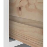 vidaXL Drevo za dvorano "SANDENS" bela 45x40x159,5 cm masivni les bora | Shoptok.si