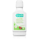 GUM Activital Mouthwash ustna voda 300 ml