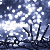  LED veriga z 2000 LED lučkami hladno bela 17 m PVC, (20669499) | Shoptok.si