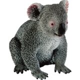  Safari - Koala | Shoptok.si