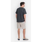 Reell Staple Logo T-shirt fossil grey | Shoptok.si