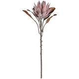Eglo 428369 - Veštačko cveće ETAYA 53 cm ružičasta u