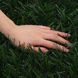  Umjetna ograda Tamnozelena 1,5 x 4 m PVC i čelik | shoptok.hr