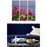 Wallity Set slika MDF332641235, 3 dijela | Eponuda.ba
