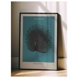 Wallxpert uramljena slika 115211, The Black Peacock Ohare Kosona, crni paun, tirkizna pozadina, 30 x 40 cm, crni ram | Eponuda.com