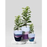 WALLXPERT decorative pot pietra 3 multicolor Cene