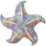 Plišani jastuk/igračka Morska zvijezda 20 cm - plava | shoptok.hr