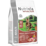 Gp Hrana za mačke 2 kg A2200179 | ePonuda.com